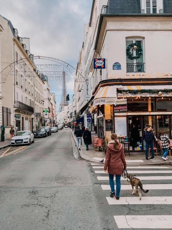 Is Paris Dog Friendly